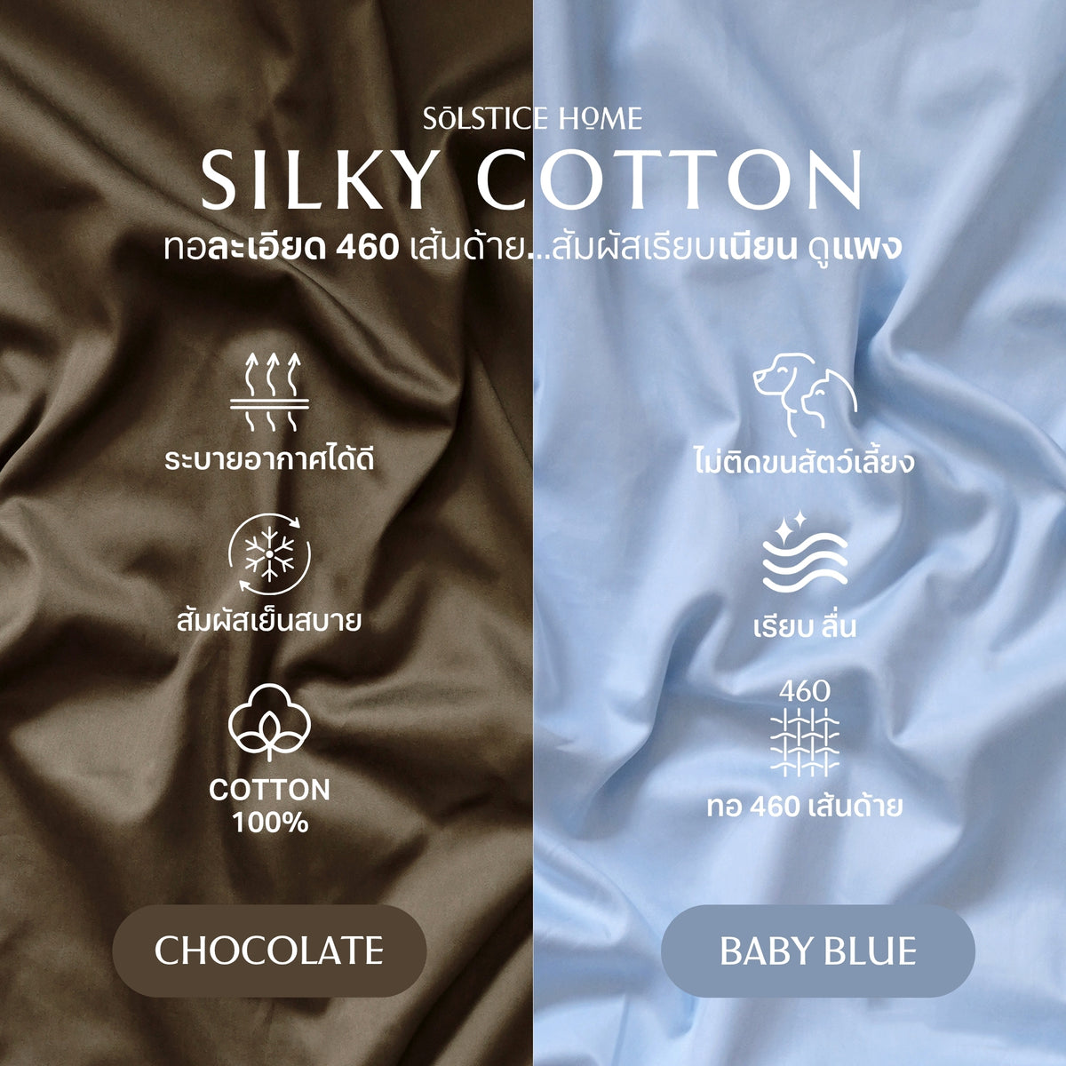 ชุดผ้าปูที่นอน Silky Cotton Baby Blue + Chocolate