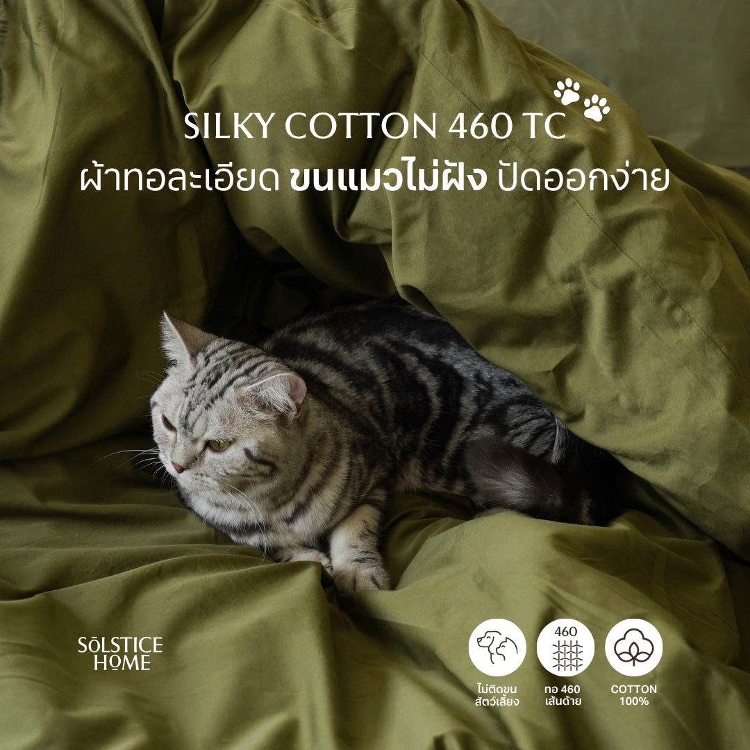 ชุดผ้าปูที่นอน Silky Cotton