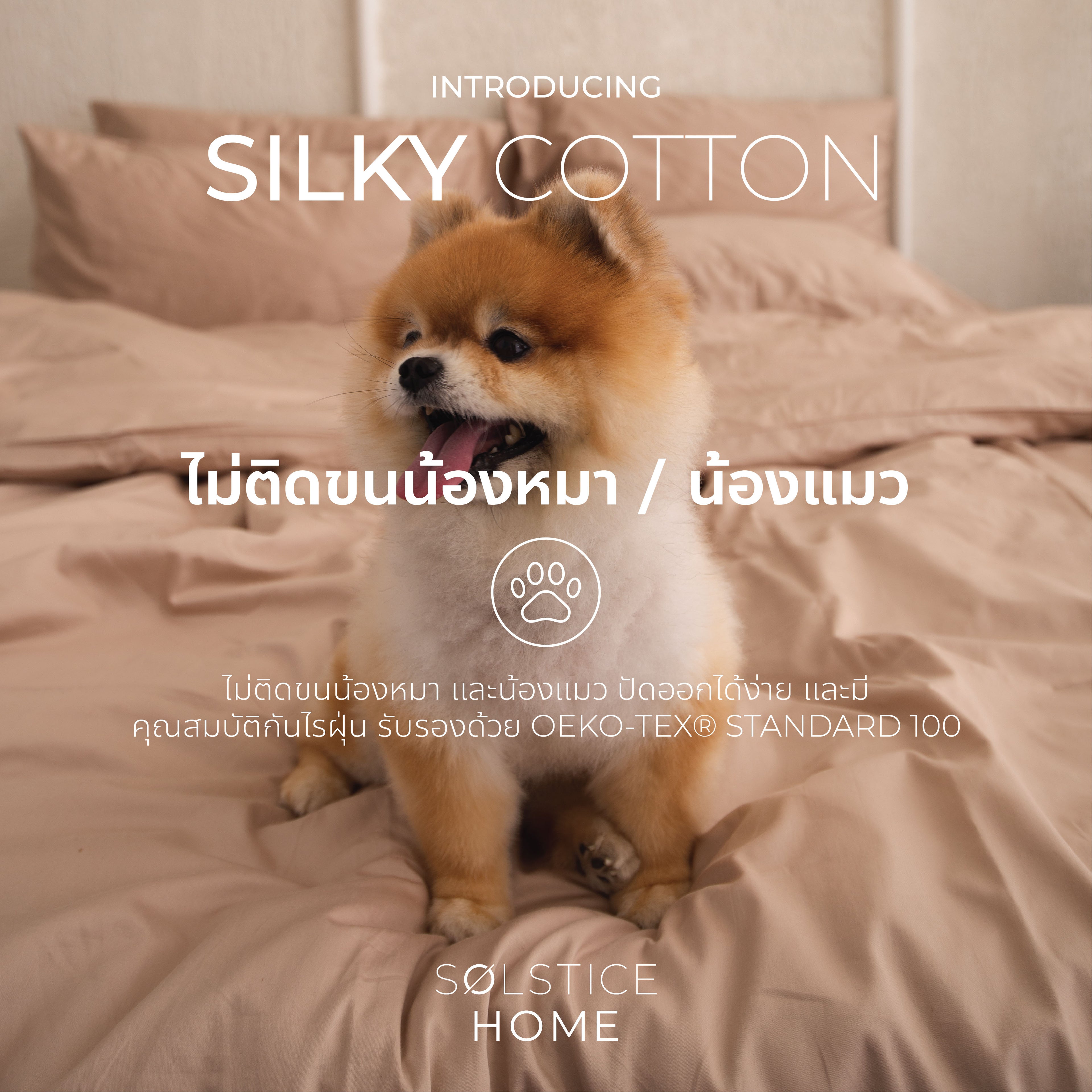 ชุดเครื่องนอน ผ้า Silky Cotton image 4
